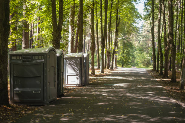 Best Luxury portable toilet rental  in Albany, MN